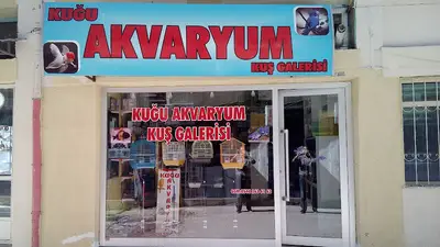 Işik Akvaryum Kuş Galerisi