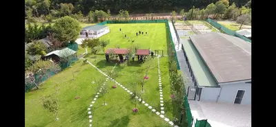 Dino Dog Club fotoğrafı