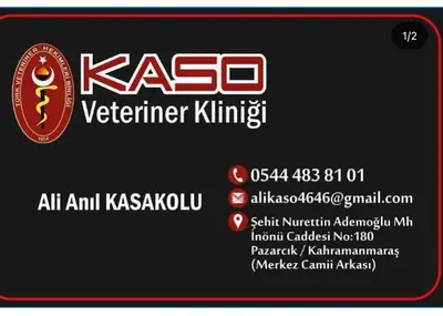 Kaso Veteriner Kliniği