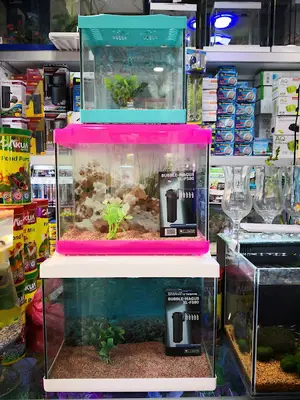 Erşen Akvaryum
