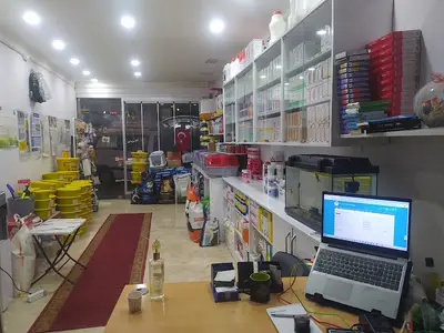 Ay-vet Veteriner Kliniği fotoğrafı
