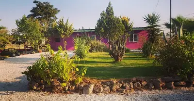 Paw House Academy fotoğrafı