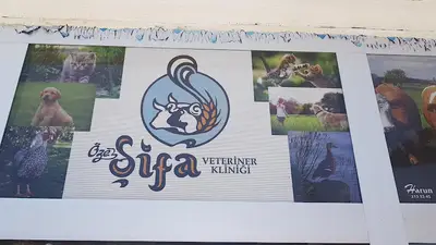 Öz Aydin Veteri̇ner Kli̇ni̇ği̇