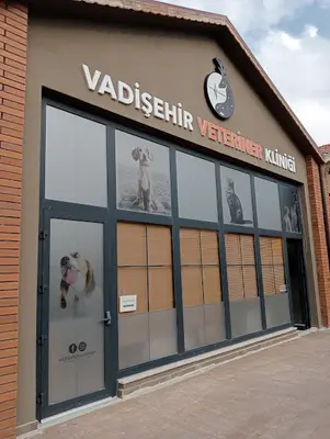 Beylikova Veteriner Kliniği