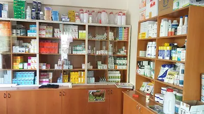 ELİF VETERİNER KLİNİĞİ