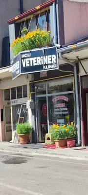 Kral Petshop