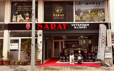 Veteriner Hekim Levent Haymanalı