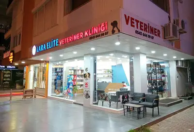 Lara Elite Veteriner Kliniği - Antalya 7/24 Nöbetçi Acil Veteriner Kliniği - Ветеринарная клиника