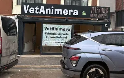 VetAnimera | Bandırma Veteriner Kliniği