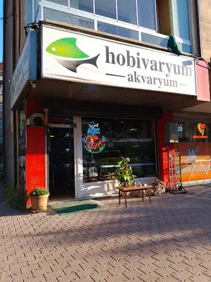 hobivaryum akvaryum petshop
