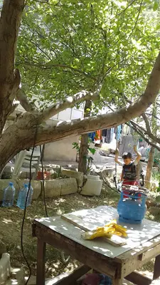 Köse Market