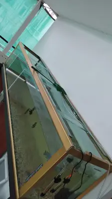 Tuğçe Petshop