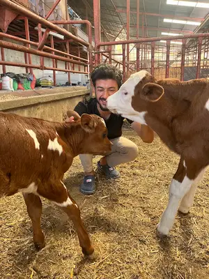 turgutlu tekin veteriner kliniği
