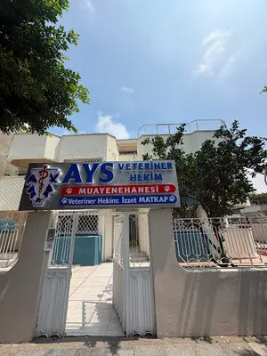 AYS VETERİNER HEKİM MUAYENEHANESİ