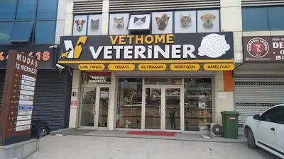 körfez veteriner kliniği