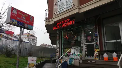 Elegance Akvaryum Ve Pet Shop