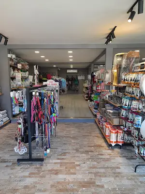 Coco pet store & pet kuaför fotoğrafı