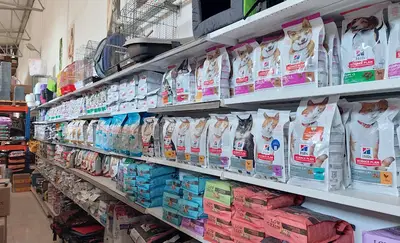 Maskot Pet Muğla