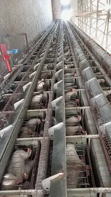 Encilli Patiler shelter fotoğrafı