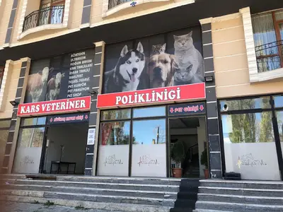 Veteriner Fakültesi Klinikleri