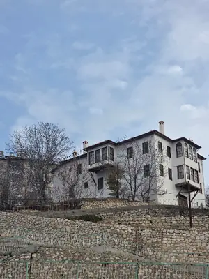 Ayvet Veteriner Kliniği