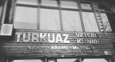 Ervet Veteriner Kliniği