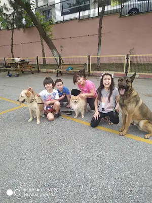 Akademi Köpek Merkezi fotoğrafı