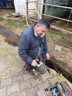 Çakaltepe Hayvan Barınağı fotoğrafı