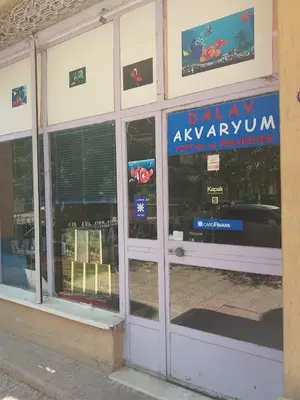 Dalay Akvaryum