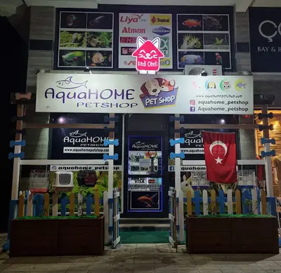 çakıllı sultan papağan evi