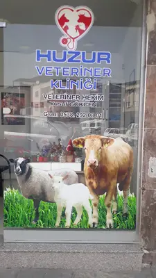 Med Veteriner