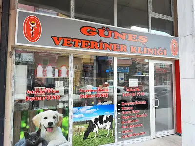 Navruz Veteriner Kliniği