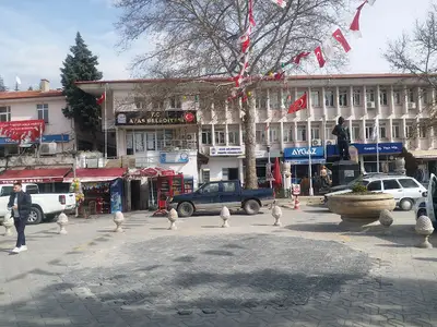 Ayvet Veteriner