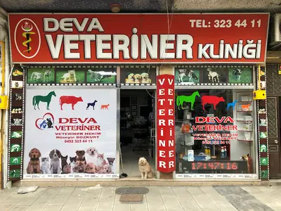 Veteriner Fatih Ecioğlu