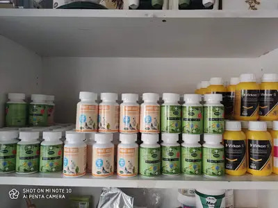 Çelikhan Merkez Veteriner Kliniği