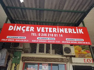 Veteriner Hekim Recep Demirhan