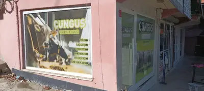 Çüngüş Veteriner kliniği