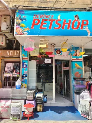 Derince Pet Shop