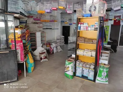 Tuana Kuş Evi