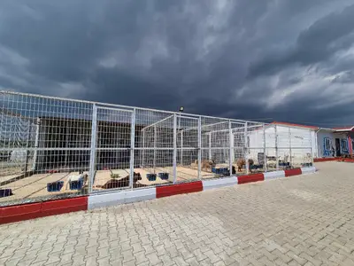 Muratlı belediyesi sokak hayvanları rehabilitasyon merkezi fotoğrafı