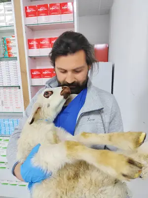 MUTLU PATİLER PET SHOP