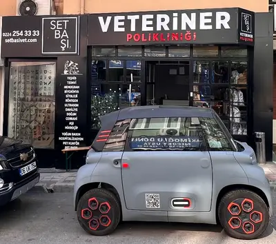 Setbaşı Veteriner 7/24 nöbetçi acil fotoğrafı