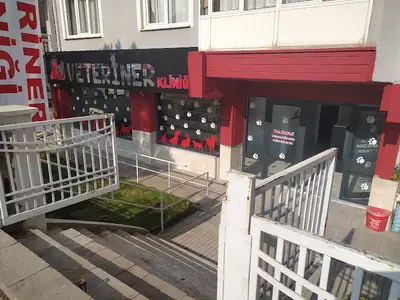 VETSTAR VETERİNER KLİNİĞİ fotoğrafı