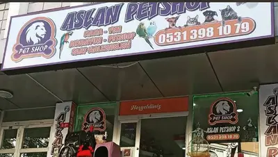 Aslan petshop 34