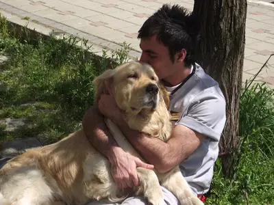 Sancaktepe Veteriner Şefliği
