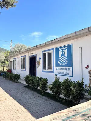Bodrum Belediyesi Sokak Hayvanları Geçici Bakım Merkezi