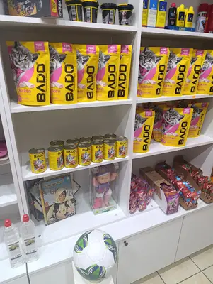 Şanslı pet shop fotoğrafı