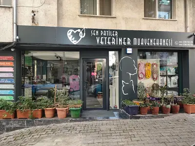 Şen Patiler Veteriner Muayenehanesi
