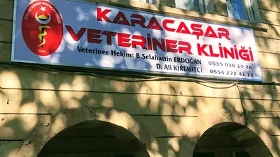 KARACAŞAR VETERİNER KLİNİĞİ