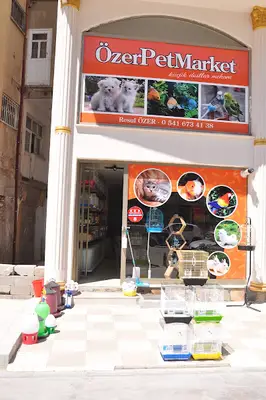 Özen Petshop